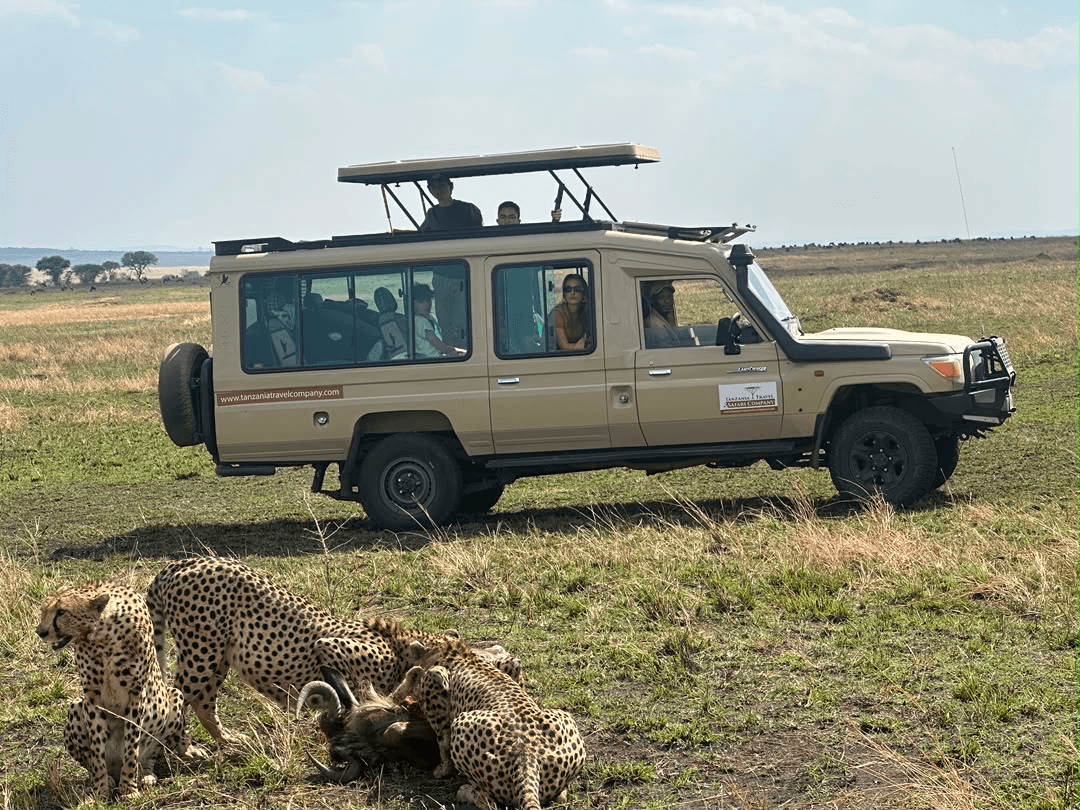 7-Day Great Wildebeest Migration Safari