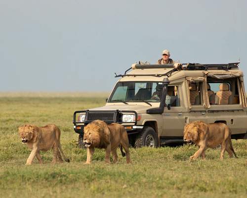 9-days-safari