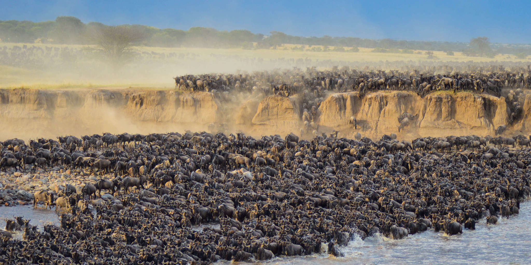 7-Day Great Migration Safari – Witness Nature’s Greatest Spectacle in Tanzania