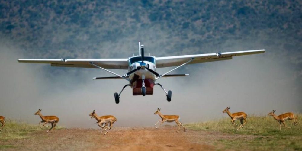 4-Day Serengeti Fly-In Safari – Discover Tanzania from the Sky to the Savannah