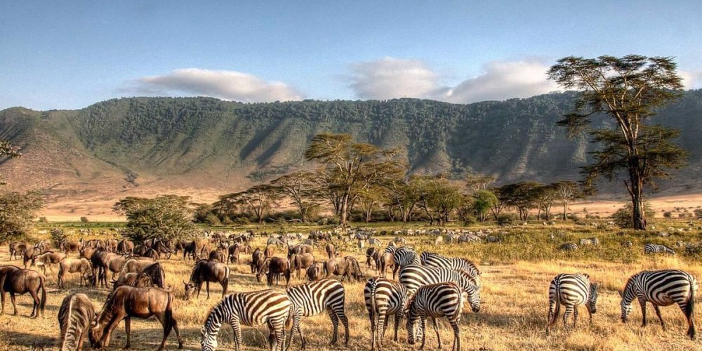 5-Day Budget Safari Adventure – Tarangire, Serengeti & Ngorongoro- Tanzania